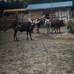 Meet your Posher, Annabelle